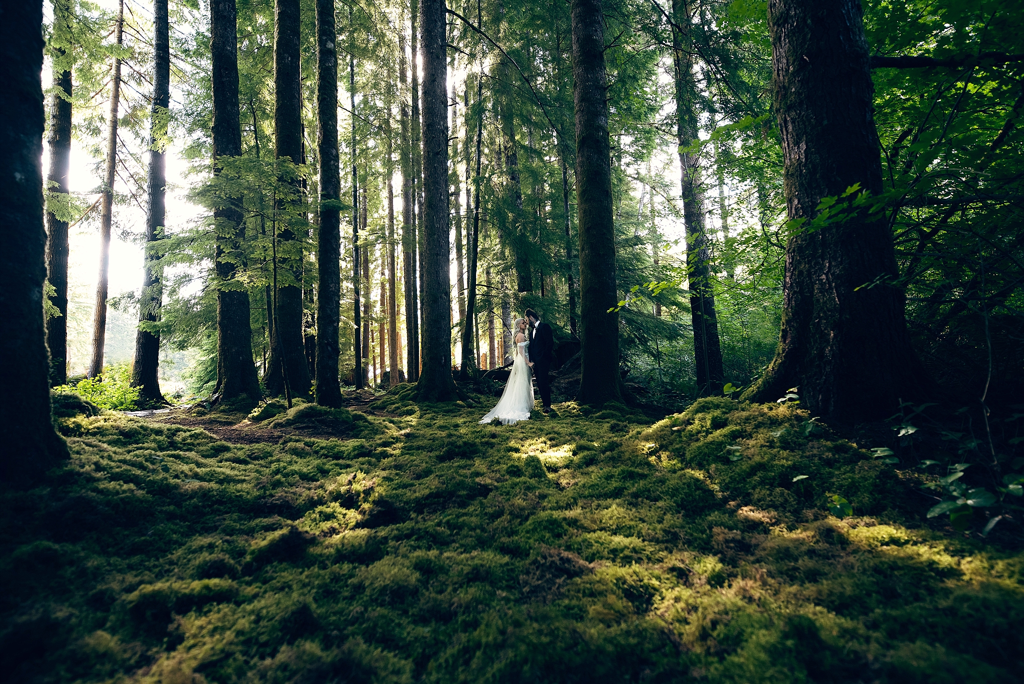 PNW wedding, fern acres forks washington wedding